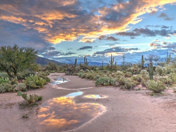 Desert photo