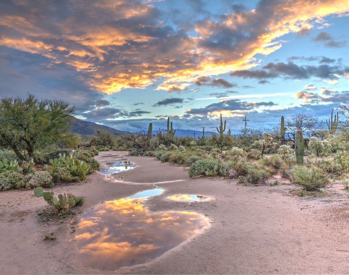 Desert photo
